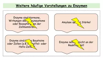 Vorschau - Arbeitsblätter - Katalase-Praktikum: Enzymaktivität bei pH-Wert, Substratkonzentration und Temperatur | ink. Versuchsplanung und Konzept - Seite 3
