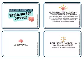 Aperçu - Cartes / Images - 9 fait sur ton cerveau - Apprendre avec les sciences cognitives - Coach ton cerveau - Page 1