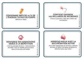 Aperçu - Cartes / Images - 9 fait sur ton cerveau - Apprendre avec les sciences cognitives - Coach ton cerveau - Page 3