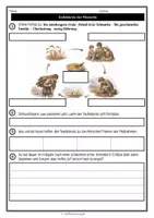 Vorschau - Arbeitsblätter - Mittelalter - Hunger und Krankheit - Seite 3