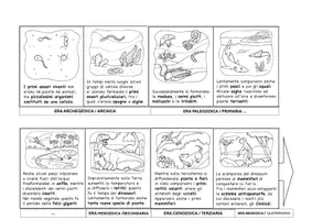 anteprima - Materiale di supporto/inclusione - L'origine della Terra e lo sviluppo della vita - Pagina 3
