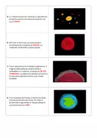 anteprima - Materiale di supporto/inclusione - L'origine della Terra e lo sviluppo della vita - Pagina 1