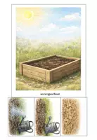 Vorschau - Stundenentwürfe - Schulgarten - Beet-Partner finden (Beete planen) - Seite 1