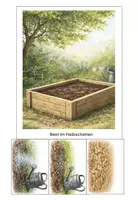 Vorschau - Stundenentwürfe - Schulgarten - Beet-Partner finden (Beete planen) - Seite 2