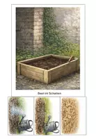Vorschau - Stundenentwürfe - Schulgarten - Beet-Partner finden (Beete planen) - Seite 3