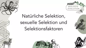 Vorschau - Stundenentwürfe - Sexuelle Selektion & Selektionsfaktoren - Deckblatt