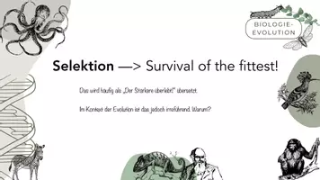 Vorschau - Stundenentwürfe - Sexuelle Selektion & Selektionsfaktoren - Seite 1