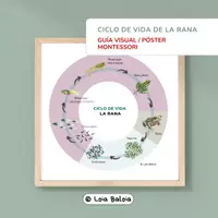 Vista previa - Unidades / Secuencias / Situaciones de Aprendizaje - Ciclo de Vida Rana – Situación de Aprendizaje Método Científico - página 1