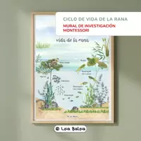 Vista previa - Refuerzo / NEE / Materiales de apoyo - Ciclo de vida rana - Póster del Estanque - Portada