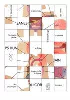 Aperçu - Jeux - Organes du corps humain - Puzzle - Page 1