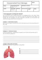 Vorschau - Arbeitsblätter - Atmung, Blut und Kreislaufsystem Biologie Klassenarbeit Klasse 8 - Seite 1