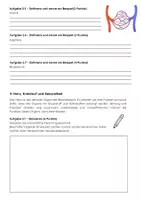Vorschau - Arbeitsblätter - Atmung, Blut und Kreislaufsystem Biologie Klassenarbeit Klasse 8 - Seite 3
