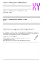 Vorschau - Test - Genetik Biologie Klassenarbeit Klasse 9 Gymnasium - Seite 3