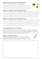 Vorschau - Test - Biologie Klassenarbeit Viren Bakterien Klasse 9 - Seite 3