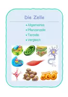 Vorschau - Arbeitsblätter - Die Zelle _ pflanzliche und tierische Zelle - Deckblatt
