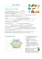 Vorschau - Arbeitsblätter - Die Zelle _ pflanzliche und tierische Zelle - Seite 1