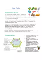 Vorschau - Arbeitsblätter - Die Zelle _ pflanzliche und tierische Zelle - Seite 2