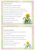 Vorschau - Fördermaterial/Inklusion - Abschreibkartei Groß- und Kleinschreibung - Seite 1