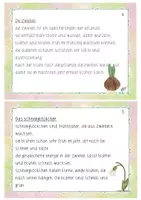 Vorschau - Fördermaterial/Inklusion - Abschreibkartei Groß- und Kleinschreibung - Seite 2