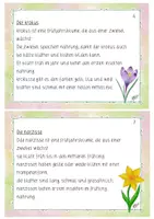 Vorschau - Fördermaterial/Inklusion - Abschreibkartei Groß- und Kleinschreibung - Seite 3