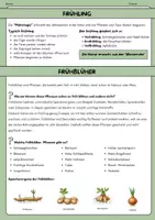 Vorschau - Arbeitsblätter - Frühling Frühblüher, Zugvögel- Infotext, Pärchenspiel, Arbeitsauftrag - Deckblatt