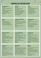 Vorschau - Arbeitsblätter - Frühling Frühblüher, Zugvögel- Infotext, Pärchenspiel, Arbeitsauftrag - Seite 2