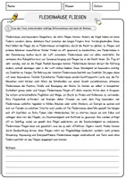 Vorschau - Arbeitsblätter - Fledermäuse fliegen Grundschule Arbeitsblätter Lernmaterialien zum Üben Wiederholen und Fördern - Seite 1