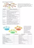 Vorschau - Präsentationen/Tafelbilder - Chemie | Deutsch | Operatoren Fachsprache Beschreiben Erklären - Seite 1
