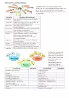 Vorschau - Präsentationen/Tafelbilder - Chemie | Deutsch | Operatoren Fachsprache Beschreiben Erklären - Seite 3