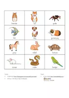 Vorschau - Spiele - Bingo Pets & other animals - Wortschatz Englisch (Playway 4) - Seite 2