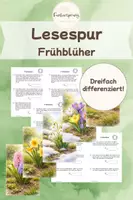 Vorschau - Arbeitsblätter - Lesespur Frühblüher | Differenziert | Mit viel Sachwissen - Deckblatt