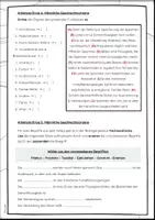 Vorschau - Arbeitsblätter - Geschlechtsorgane: Übungen zu den Geschlechtsorganen - Seite 2