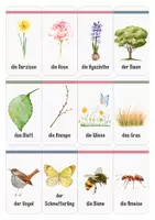 Vorschau - Fördermaterial/Inklusion - Frühling Wortschatz | Lernkarten für Vorschule und Kindergarten - Seite 3