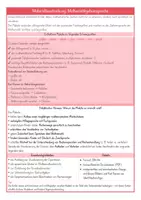Vorschau - Fördermaterial/Inklusion - Mathe-Geheimsprache: Plakate zu Plus, Minus, Mal & Geteilt mit Fachbegriffen - Seite 1