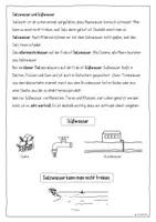 Vorschau - Arbeitsblätter - Lernpaket Wasser – kindgerechte Einführung mit Arbeitsblättern, Süß- & Salzwasser, Aggregatzuständen - Seite 3