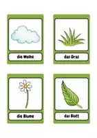 Vorschau - Bildkarten - Bildkarten | der Frühling | Bild- und Lernkarten - Seite 3