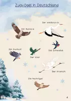 Vorschau - Poster - Zugvögel und Standvögel - Poster - Bildkarten - Deckblatt
