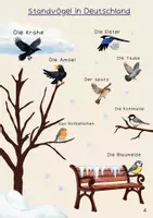 Vorschau - Poster - Zugvögel und Standvögel - Poster - Bildkarten - Seite 1