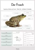 Vorschau - Stundenentwürfe - Der Frosch: Körperteile und ihre Funktionen (Poster, Legematerial, Arbeitsblätter) - Deckblatt