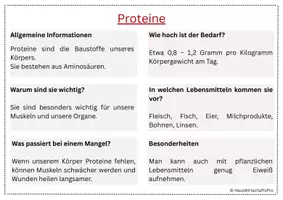 Vorschau - Arbeitsblätter - Proteine: Infokarten, Arbeitsblatt, Lösung & Rezepte - Seite 2