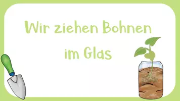 Vorschau - Unterrichtsreihen - Bohne im Glas - Pflanzenwachstum erforschen - Experimente und Arbeitsblätter für Klasse 1/2 - Seite 2