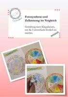 Vorschau - Mal- und Bastelvorlagen - Fotosynthese und Zellatmung im Vergleich - Deckblatt