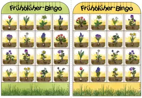 Vorschau - Spiele - Bingo / Bingospiel: Frühblüher (Bild- und Textversionen) - Seite 3