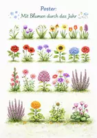 Vorschau - Poster - Poster: Blumen im Jahresverlauf - Deckblatt