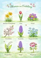 Vorschau - Poster - Poster: Blumen im Jahresverlauf - Seite 2