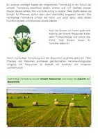 Vorschau - Arbeitsblätter - Tierhaltung auf dem Bauernhof: Tierhaltung & Landwirtschaft - Seite 3