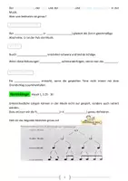 Vorschau - Arbeitsblätter - Arbeitsblatt zu "Musix1": Meet the Beet! Erste rhythmische Schritte! - Seite 2