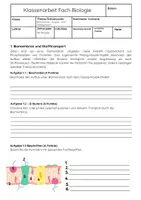 Vorschau - Arbeitsblätter - Biomoleküle & molekulare Genetik Klassenarbeit Klasse 11 - Deckblatt