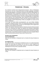 Vorschau - Arbeitsblätter - Waldbrände - Naturkatastrophen verstehen - Seite 1