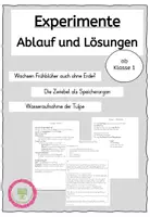 Vorschau - Experimente - Experimente Frühblüher Schulgarten Blumen - Deckblatt